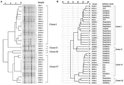 Epidemiology and Risk Factors for Carbapenem-Resistant Klebsiella Pneumoniae and Subsequent MALDI-TOF MS as a Tool to Cluster KPC-2-Producing Klebsiella Pneumoniae, a Retrospective Study